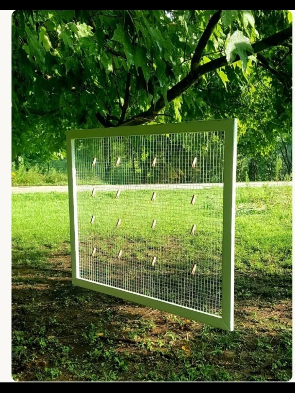 Farmhouse Chicken Wire Frames, Square Chicken Wire Frames, Large Chicken Wire Fr